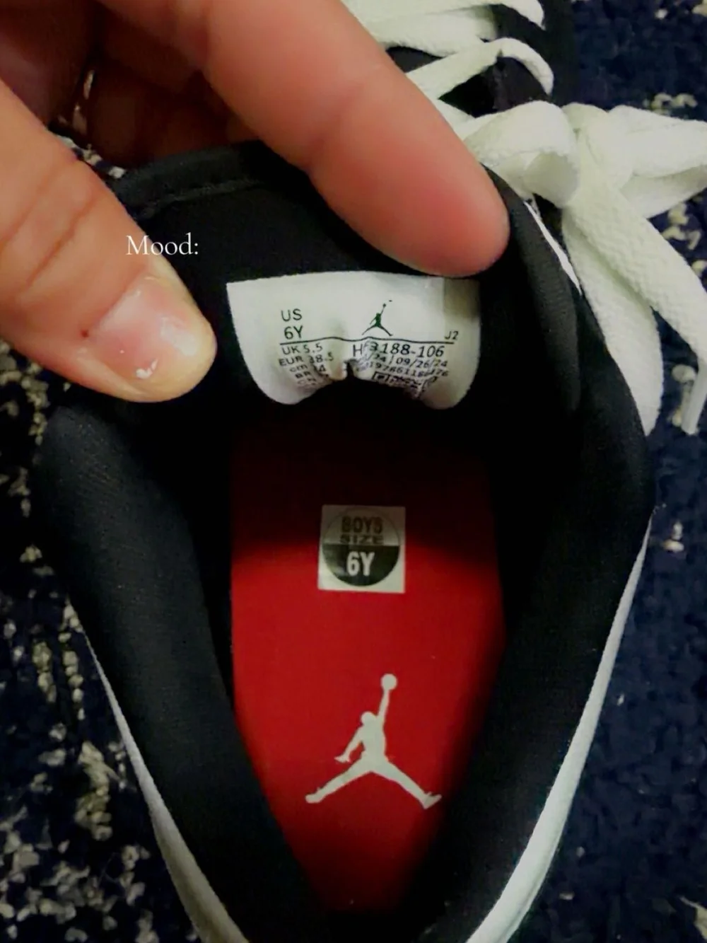 Jordan Se 1 Low Panda Toe